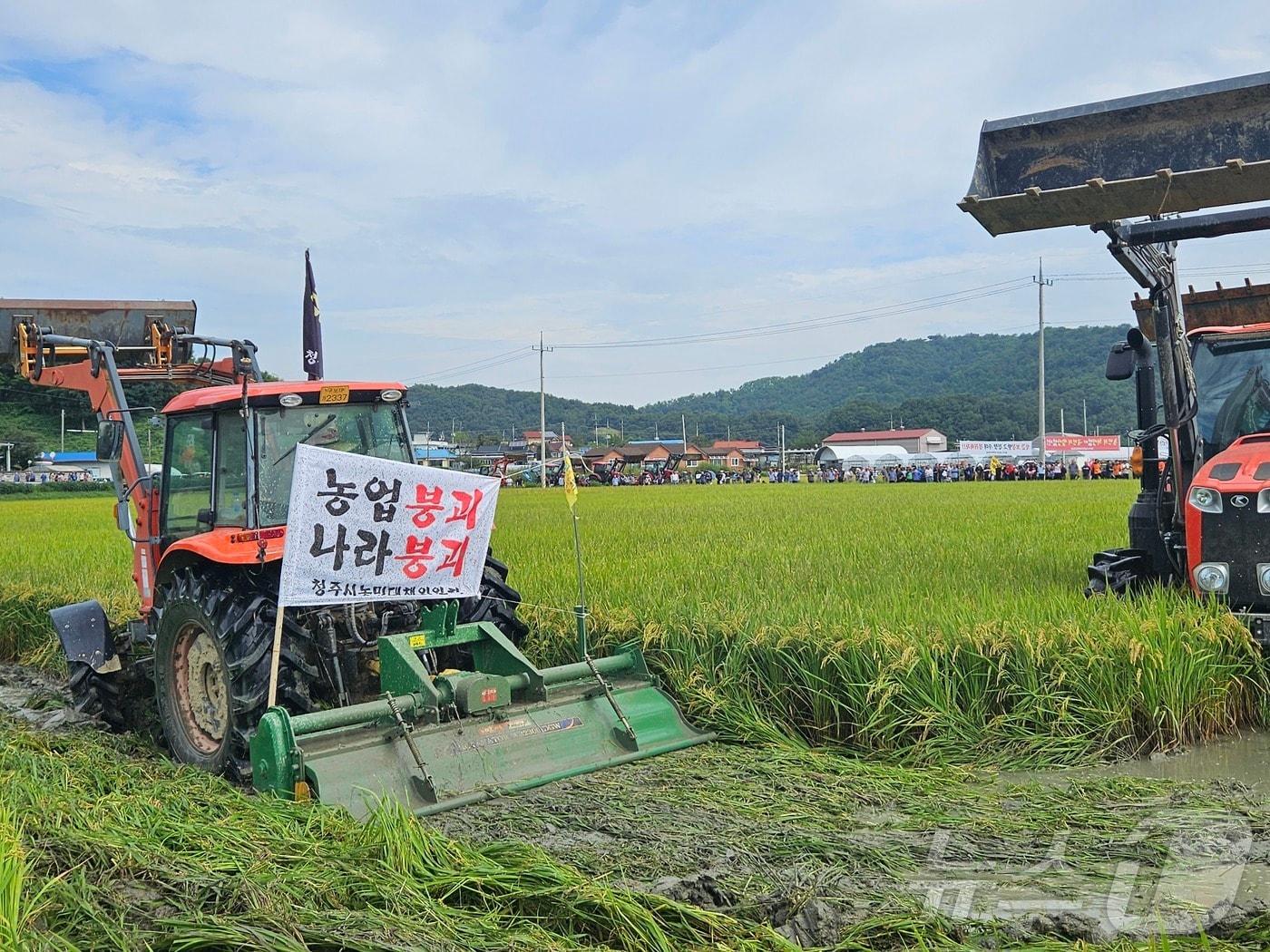 전국농민회총연맹 충북도연맹과 청주시농민대책위 농민들이 19일 오전 오송읍 일대에서 집회를 열고 수입쌀 중단과 양곡관리법 전면 개정 등을 촉구하며 트랙터로 약 1000평 논을 갈아 엎고 있다. 2024.9.19/뉴스1 ⓒ News1 이재규 기자