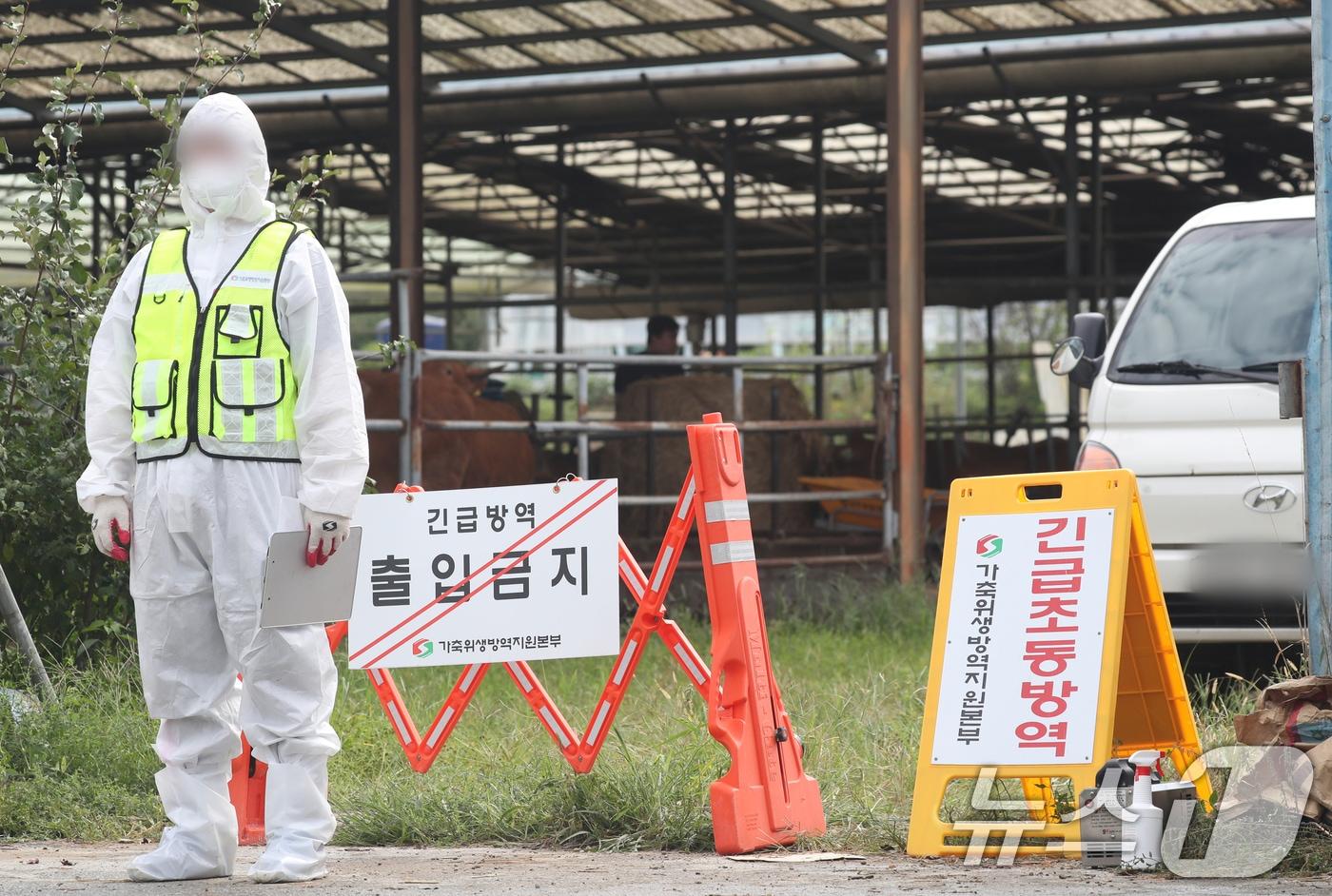 지난 9월19일 경기 여주시 한 한우농장에서 럼피스킨이 발생돼 방역 관계자들이 농장 일대를 통제하고 있다. 2024.9.19/뉴스1 ⓒ News1 김영운 기자