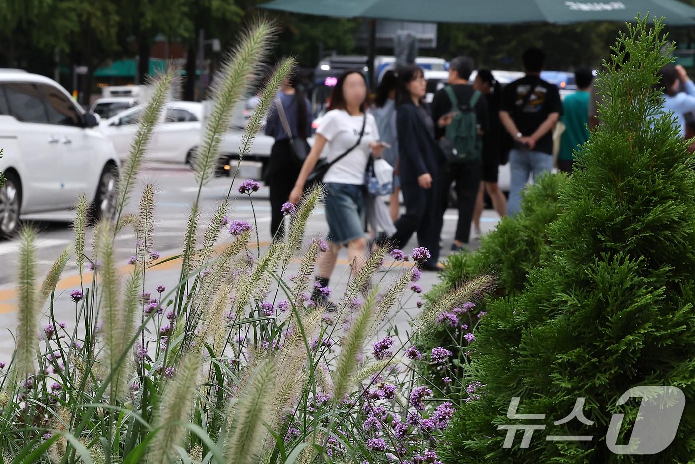 가을비가 내린 지난 2일 서울 종로구 광화문네거리에서 시민들이 출근길 발걸음을 재촉하고 있다. /뉴스1 ⓒ News1 김진환 기자