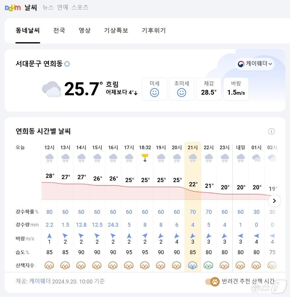 다음 날씨의 &#39;반려견 추천 산책 시간&#39; 표시 화면 갈무리