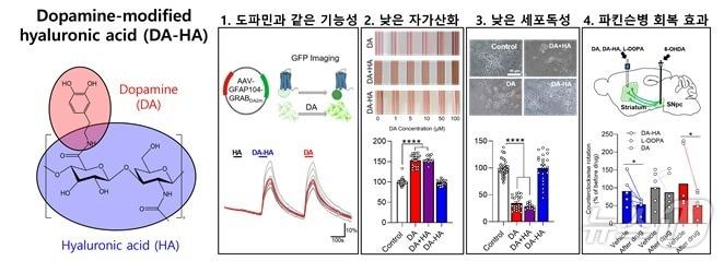 DA-HA의 특성을 나타낸 모식도. &#40;안전성평가연구소 제공&#41;/뉴스1