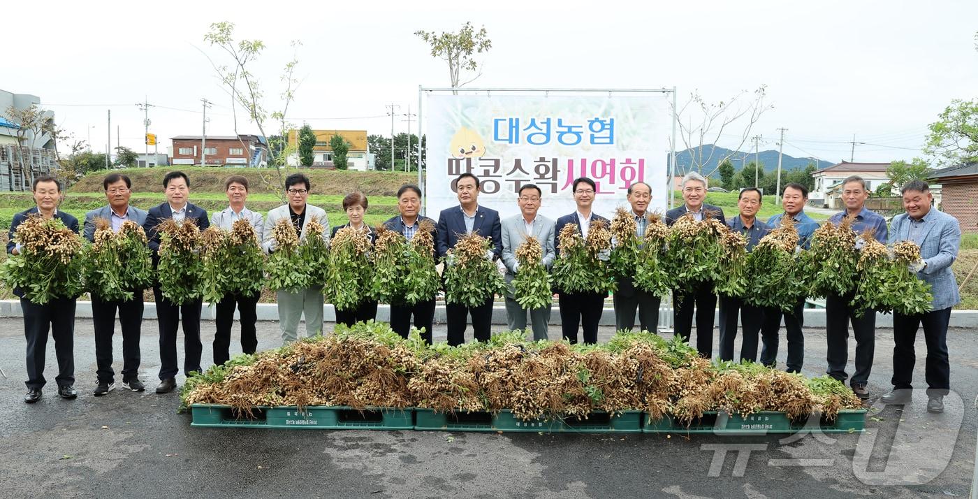  고창군과 대성농협이 23일 대성농협 본점에서 고창명품 땅콩의 수확을 기념하기 위해 땅콩 수확기, 탈곡기 등을 이용한 수확 시연회를 열었다.&#40;고창군 제공&#41;2024.9.23/뉴스1 