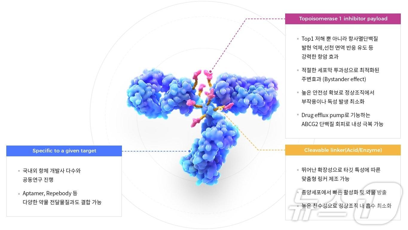 피노바이오의 항체약물접합체&#40;ADC&#41; 플랫폼 &#39;피놋-ADC&#39; 특징.&#40;피노바이오 제공&#41;/뉴스1 ⓒ News1