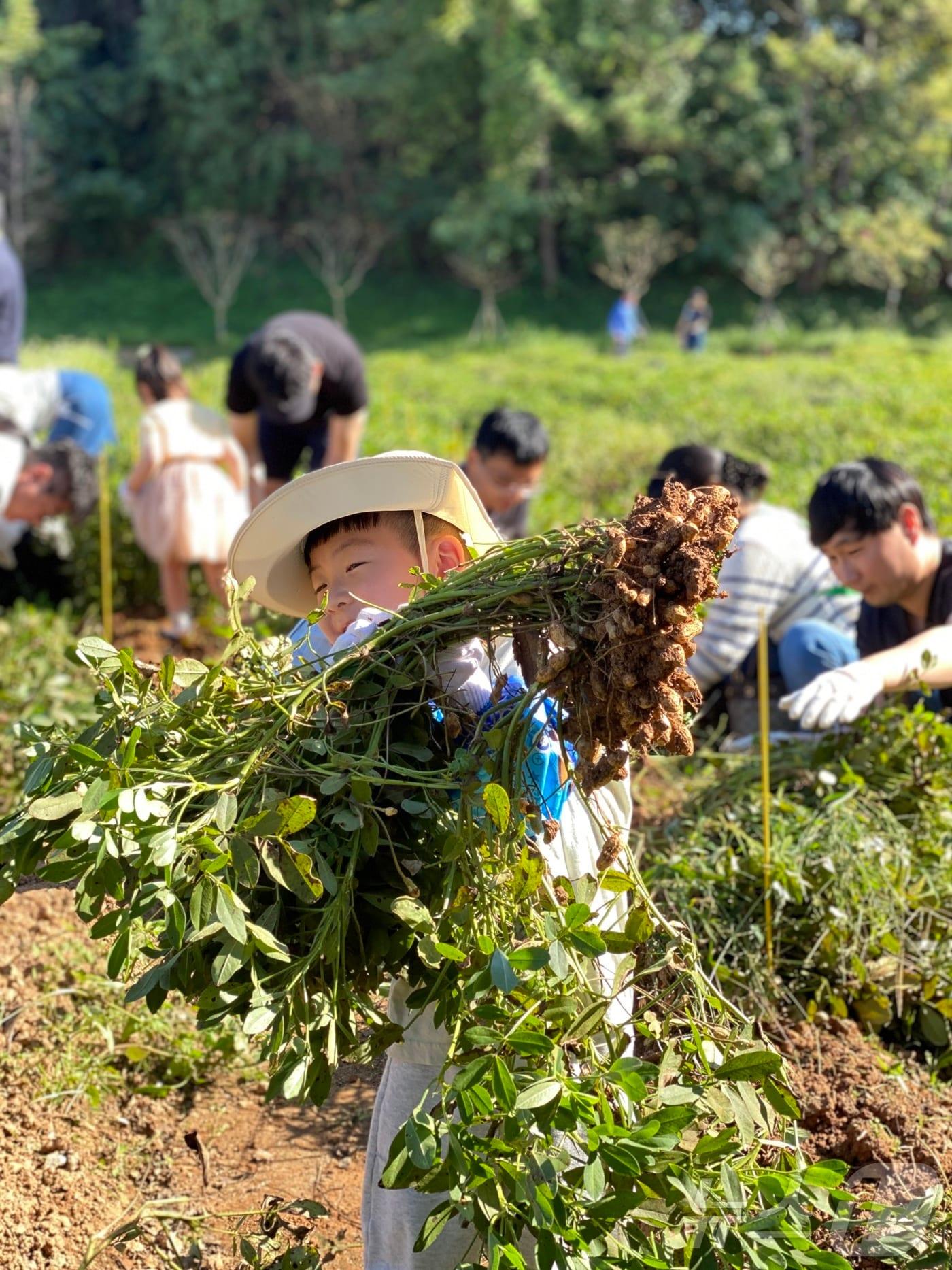 상하농원이 10월을 맞아 농촌에서 즐기는 이색축제 &#39;상하 팜 페스티벌 - 땅콩 유령 대소동&#39;을 연다.&#40;상하농원 제공&#41;