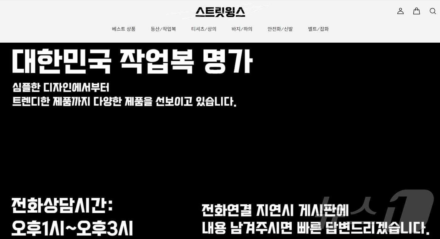 스트릿윙스 홈페이지 캡처. 2024.9.24/뉴스1