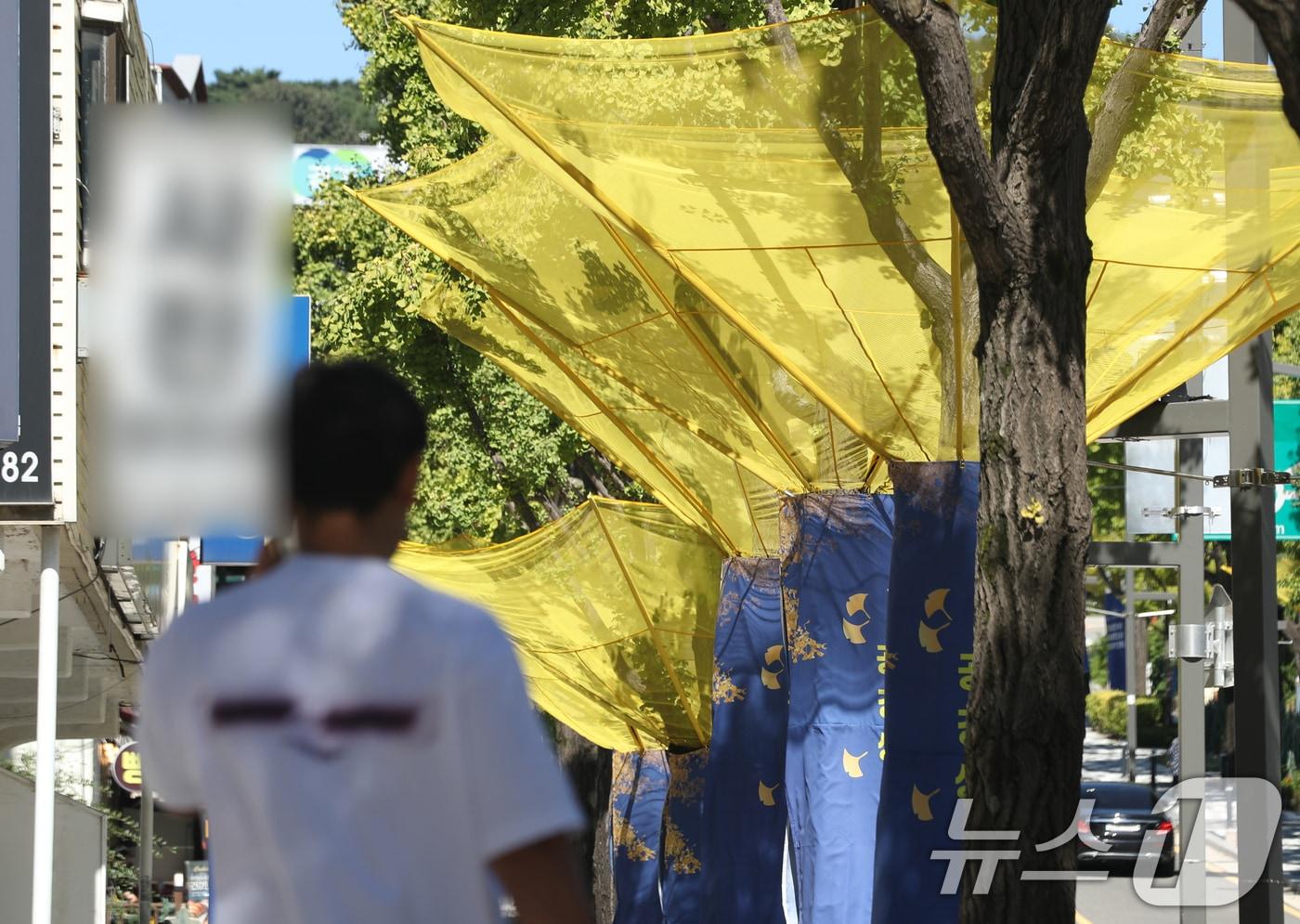 기사 이해를 돕기 위한 은행열매 악취 차단 수집망 자료사진으로, 기사내용과 직접 관련 없음. ⓒ News1 