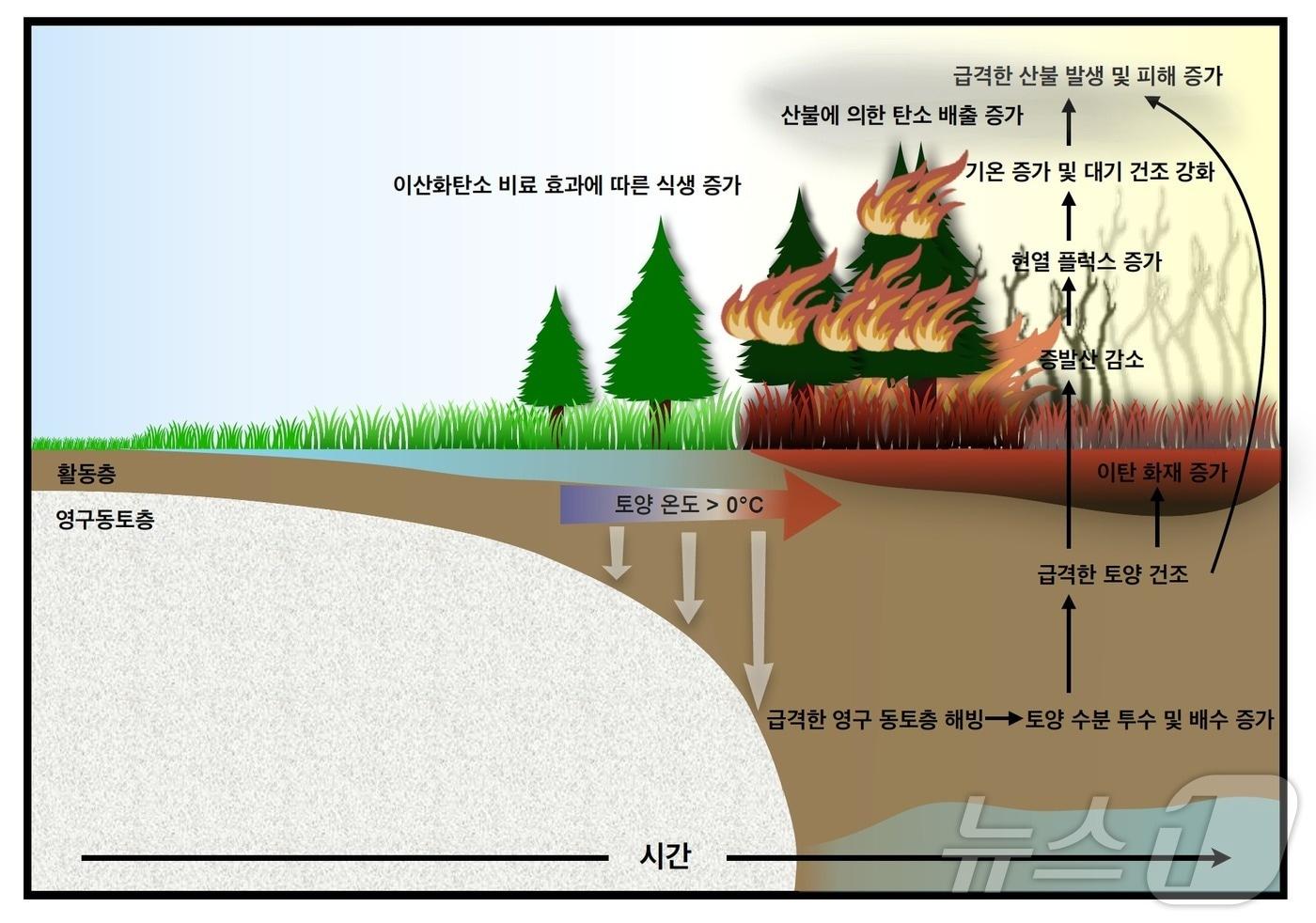 가속화된 지구온난화로 인해 급격한 영구동토층 해빙에 따른 북반구 극지역 산불 강화 메커니즘에 대한 모식도. &#40;기초연 제공&#41; /뉴스1