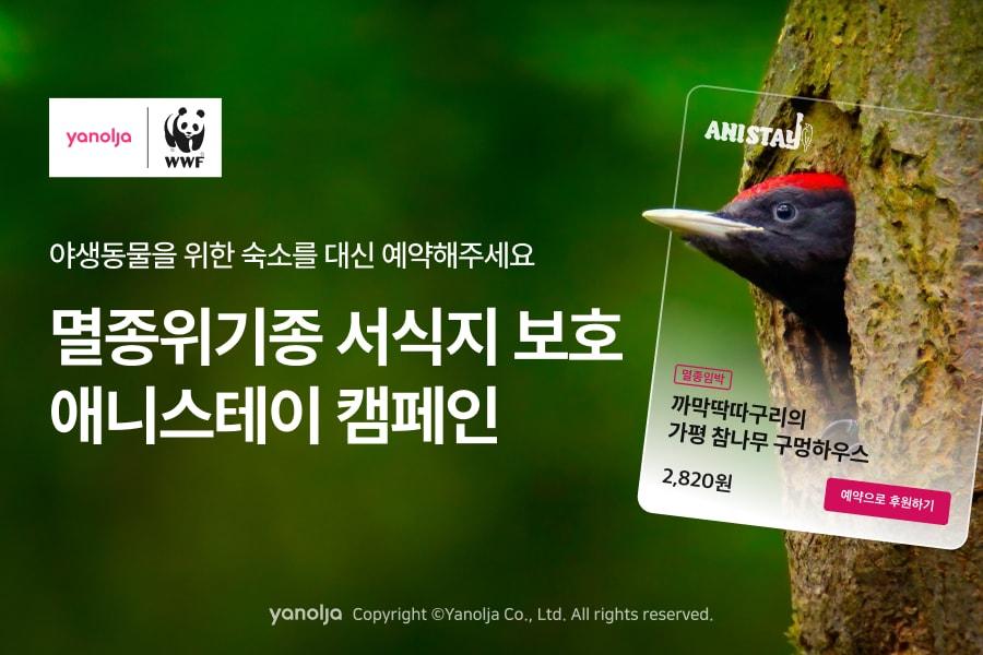 야놀자 플랫폼 X WWF, 멸종위기 야생동물 서식지 보전 캠페인&#40;야놀자 제공&#41;