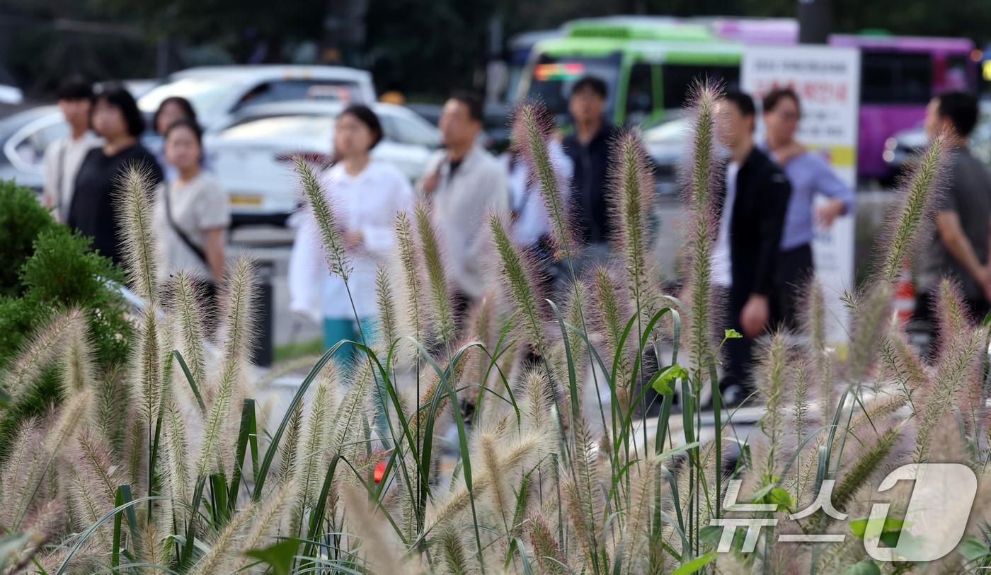 쌀쌀한 아침을 보인 27일 서울 광화문 네거리에서 시민들이 긴소매 옷을 입고 출근하고 있다. 이날 아침 최저기온은 16∼22도, 낮 최고기온은 22∼30도로 큰 일교차를 보일 것으로 예보됐다. 2024.9.27/뉴스1 ⓒ News1 김명섭 기자