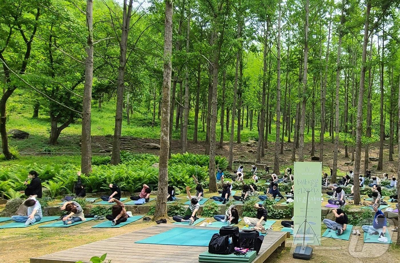 포레스트 캠프&#40;에버랜드 제공&#41;