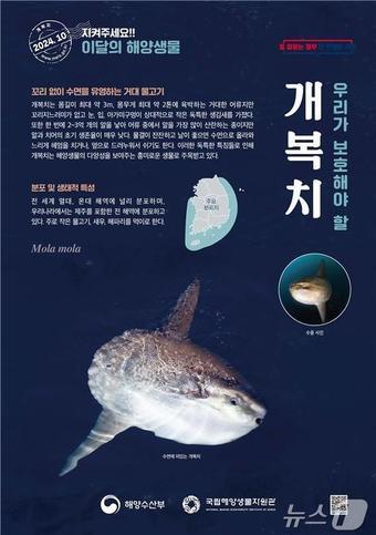 &#40;해양수산부 제공&#41;