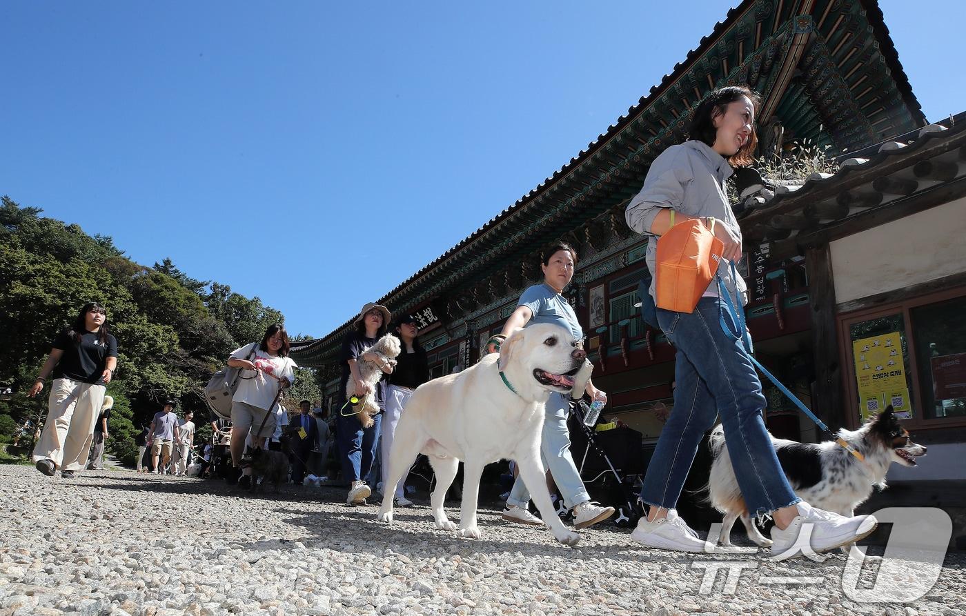 29일 경기도 남양주시 봉선사에서 열린 반려견과 함께하는 선명상 축제를 찾은 반려인과 반려견이 걷기명상을 하고 있다. 2024.9.29/뉴스1 ⓒ News1 박세연 기자