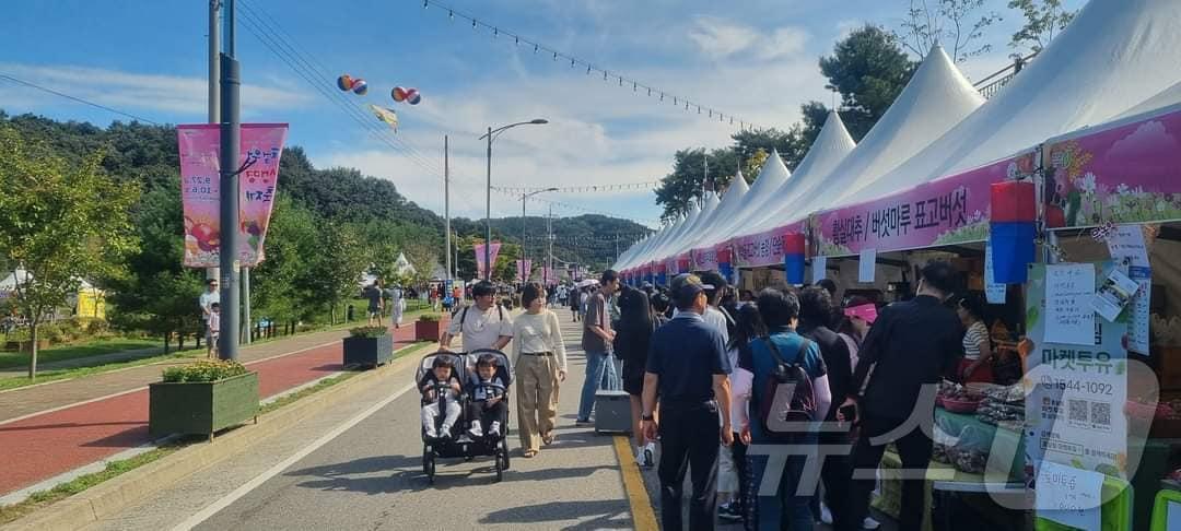 충북 청주시가 주최한 청원생명축제장을 찾은 나들이객들이 농산물 직거래 장터를 둘러보고 있다. &#40;독자 제공&#41; /뉴스1 