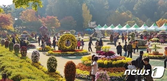  충북도는 대통령의 별장 청남대에서 26일부터 11월 10일까지 야생화와 국화를 감상할 수 있는 가을 축제를 연다. 사진은 지난 축제 모습.&#40;자료사진&#41;/뉴스1