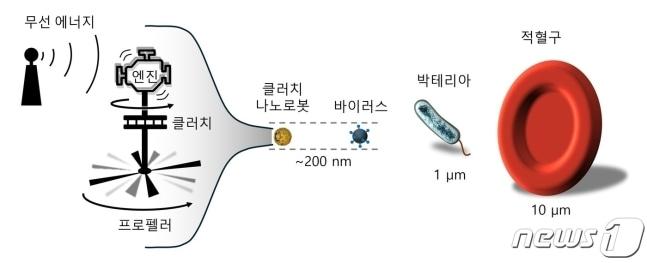  클러치 나노로봇 크기를 나타낸 모식도. &#40;IBS 제공&#41;