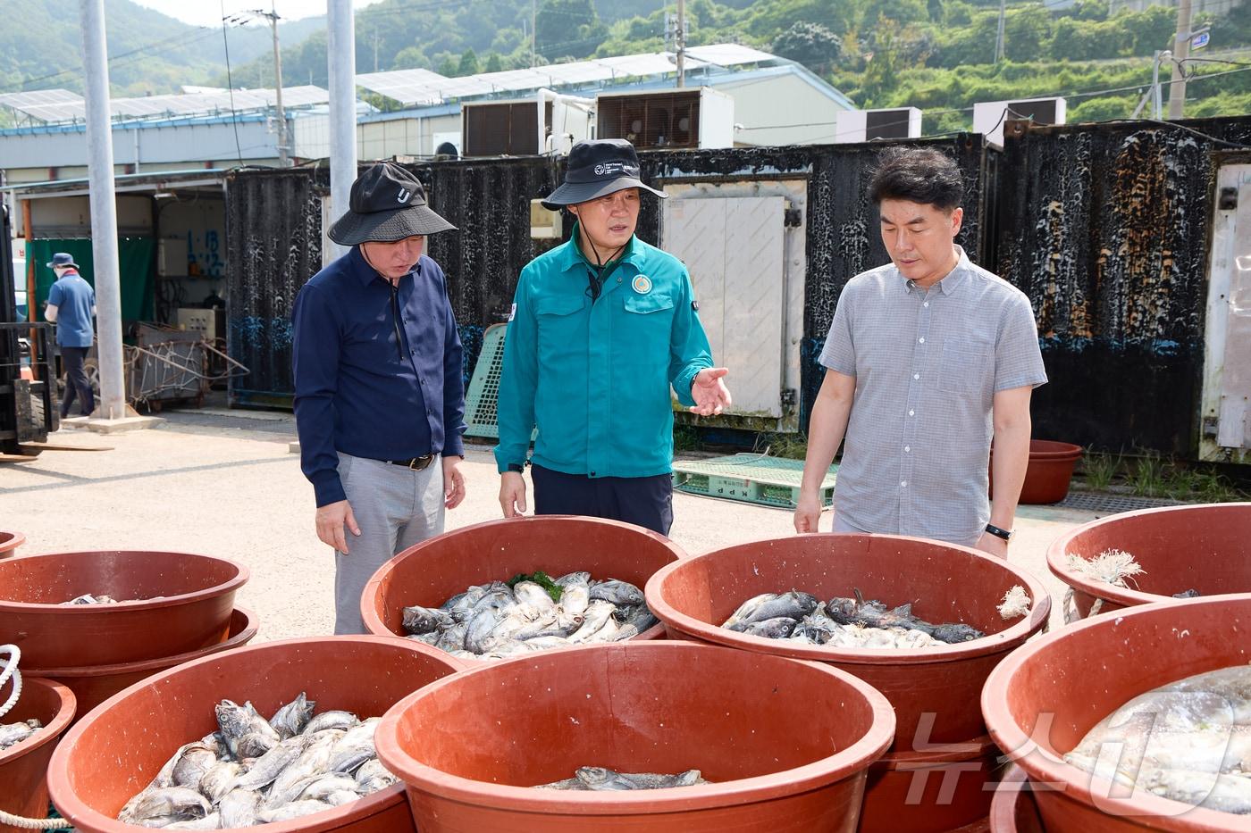 고수온 피해 양식어가를 방문한 천영기 통영시장.&#40;통영시청 제공&#41;