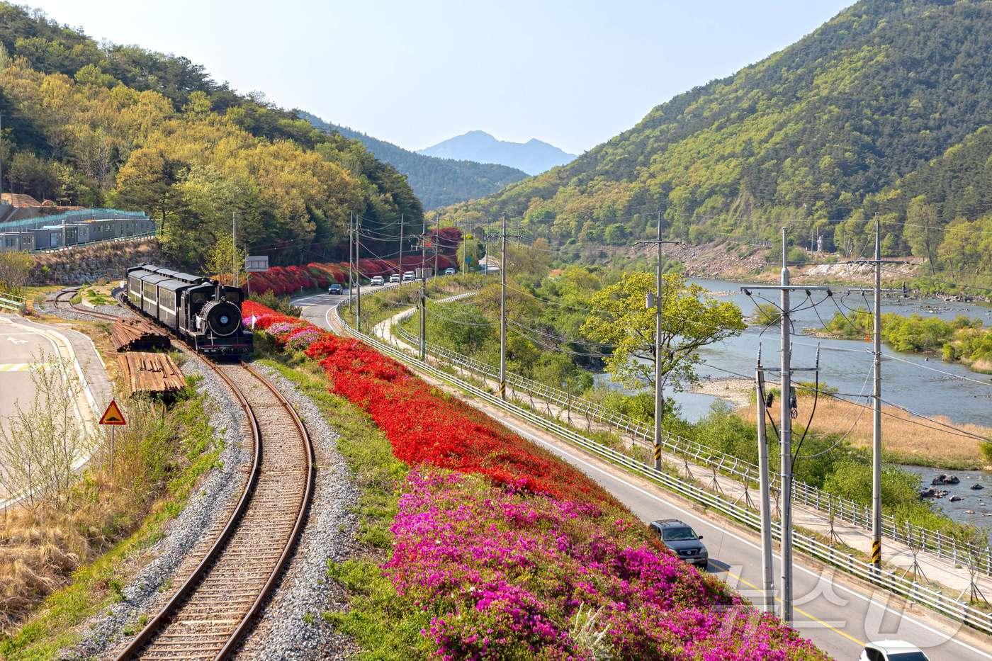 곡성 섬진강변 전경.&#40;전남도 제공&#41; 2024.9.5/뉴스1