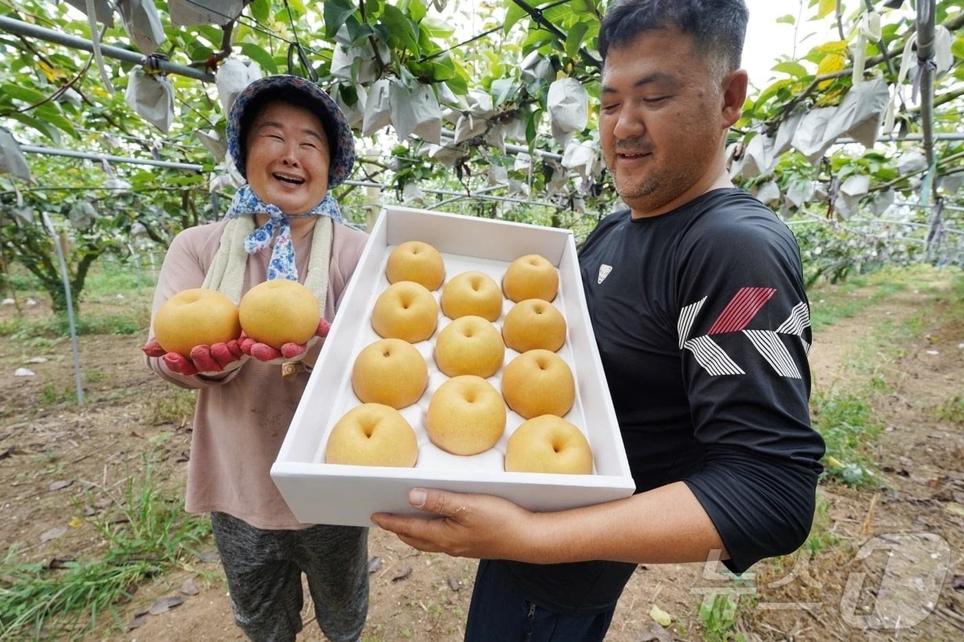 해남군 북일면 갈두농원 &#40;해남군 제공&#41;/뉴스1 