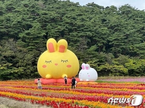 고창군 고창읍 꽃정원단지가 이달 말 가을꽃잔치에 기대감이 커지고 있다. 사진은 지난 봄 꽃잔치 축제에 전시된 조형물&#40;고창군 제공&#41;2024.9.8/뉴스1 