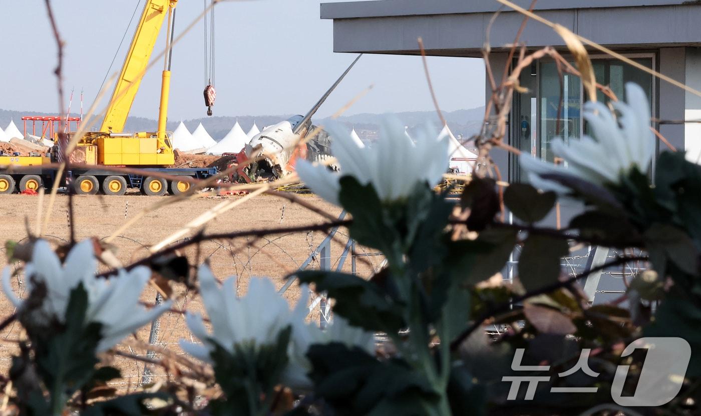 1일 전남 무안군 무안국제공항 제주항공 여객기 참사 현장에 희생자들을 추모하는 국화꽃이 놓여져 있다. 2025.1.1/뉴스1 ⓒ News1 김민지 기자