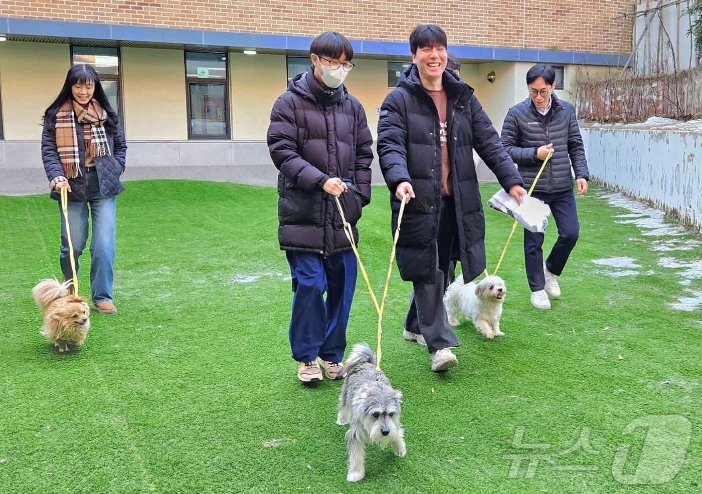 대한수의사회 임직원들은 2일 경기 반려마루에서 시무식을 갖고 강아지 산책봉사를 진행했다. ⓒ 뉴스1