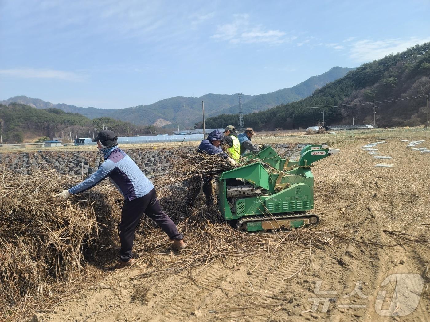 전북자치도 진안군이 추진한 영농부산물 안전 처리 지원사업이 산불 예방과 미세먼지 저감에 큰 효과가 있는 것으로 나타났다.&#40;진안군제공&#41;2025.1.5/뉴스1