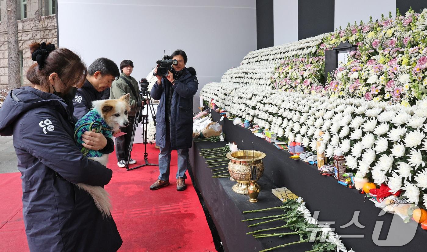 무안국제공항 제주항공 여객기 참사로 가족을 잃은 반려견 &#39;푸딩이&#39;가 5일 오후 서울시청에 마련된 합동분향소에 동물권 보호단체 회원들과 함께 방문하고 있다. 푸딩이는 참사 희생자 중 최고령자인 80세 A씨가 키웠던 반려견이다. A씨는 가족 8명과 함께 팔순을 기념해 여행을 떠났다가 사고로 돌아오지 못했다. 2025.1.5/뉴스1 ⓒ News1 장수영 기자