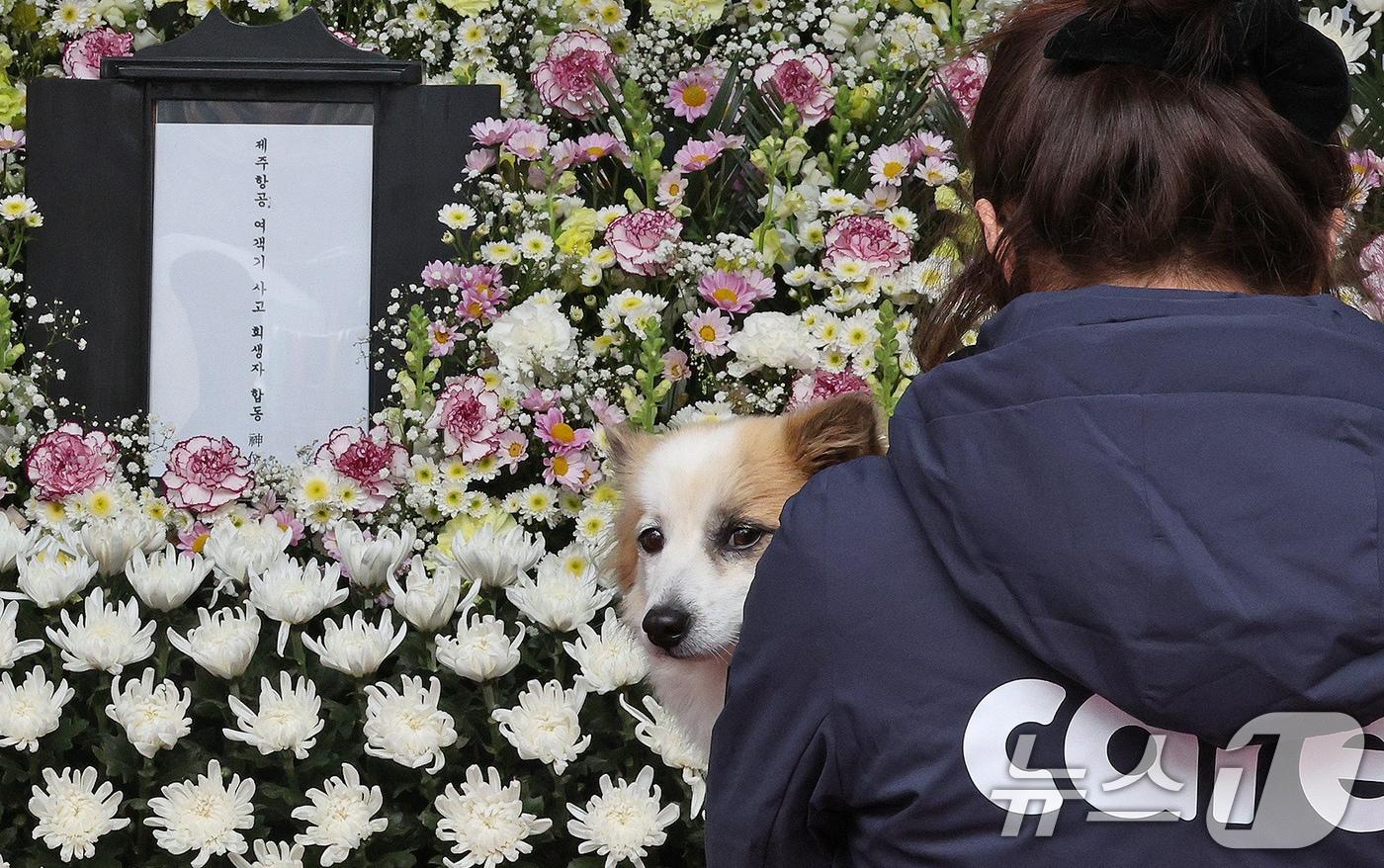 무안국제공항 제주항공 여객기 참사로 가족을 잃은 반려견 &#39;푸딩이&#39;가 5일 오후 서울시청에 마련된 합동분향소에 동물권 보호단체 회원들과 함께 방문하고 있다. 2025.1.5/뉴스1 ⓒ News1 장수영 기자