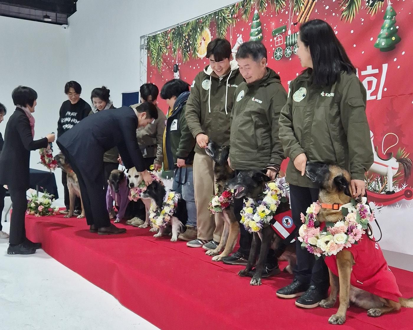 한국인명구조견협회는 지난해 12월 서울 광진구 한국애견협회센터에서 인명구조견들의 은퇴식을 진행했다. &#40;협회 제공&#41; ⓒ 뉴스1