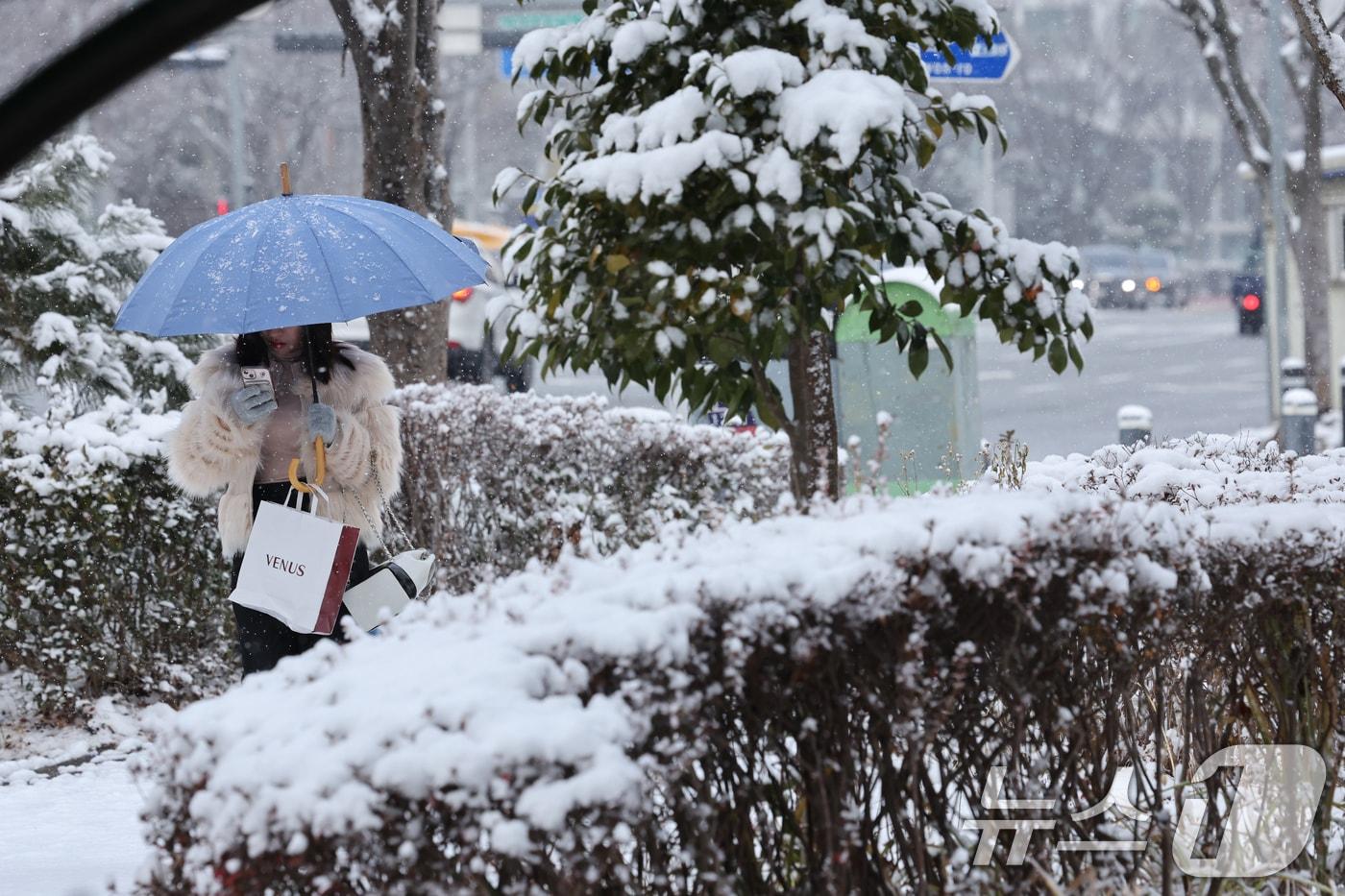 광주와 전남지역에 많은 눈이 예보된 8일 오전 광주 서구 상무지구에 함박눈이 내리고 있다. 2025.1.7./뉴스1 ⓒ News1 김태성 기자