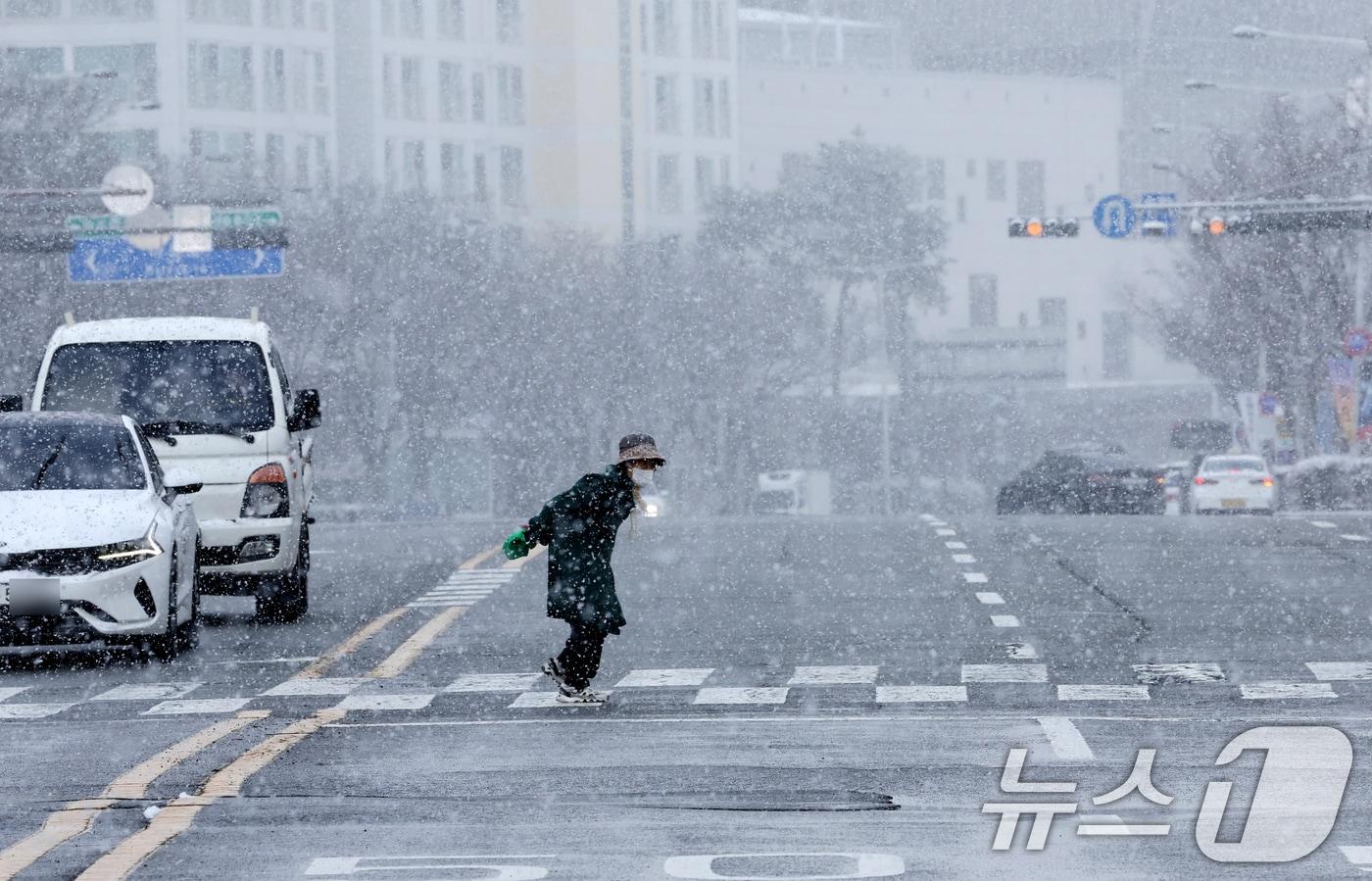 광주와 전남지역에 많은 눈이 예보된 7일 오전 광주 서구 상무지구에 함박눈이 내리고 있다. 2025.1.7./뉴스1 ⓒ News1 김태성 기자