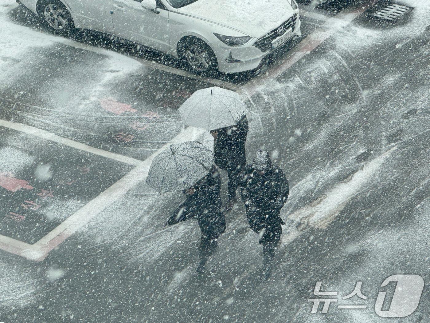 많은 눈이 예보된 7일 광주 도심에서 시민들이 우산을 쓰고 이동하고 있다. 2025.1.7/뉴스1 ⓒ News1 이승현 기자