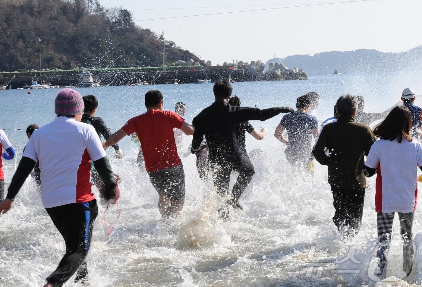 거제도 국제펭귄수영축제.&#40;거제도국제펭귄수영축제추진위원회 제공&#41;