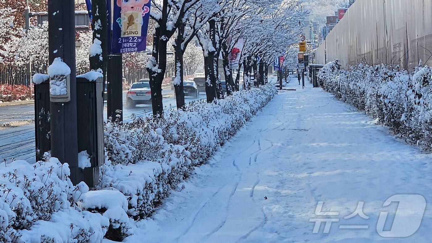 7일 오후부터 전북 전역에 대설특보가 발효돼 많은 눈이 내렸다. 사진은 눈이 쌓인 전주시 완산구 효자동 일대. 2025.1.8/뉴스1 ⓒ News1 신준수 기자