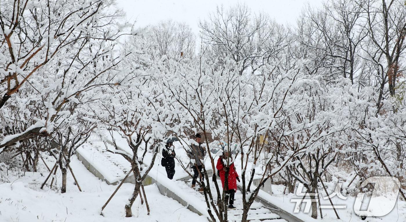 전북지역 곳곳에 대설주의보가 발효된 8일 전북자치도 전주시 한옥마을 오목대 산책로에서 시민들이 눈을 맞으며 산책을 하고 있다. 2025.1.8/뉴스1 ⓒ News1 유경석 기자