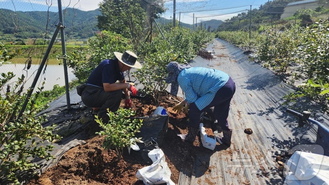 의령군 귀농·영농교육 장면&#40;의령군 제공&#41;.