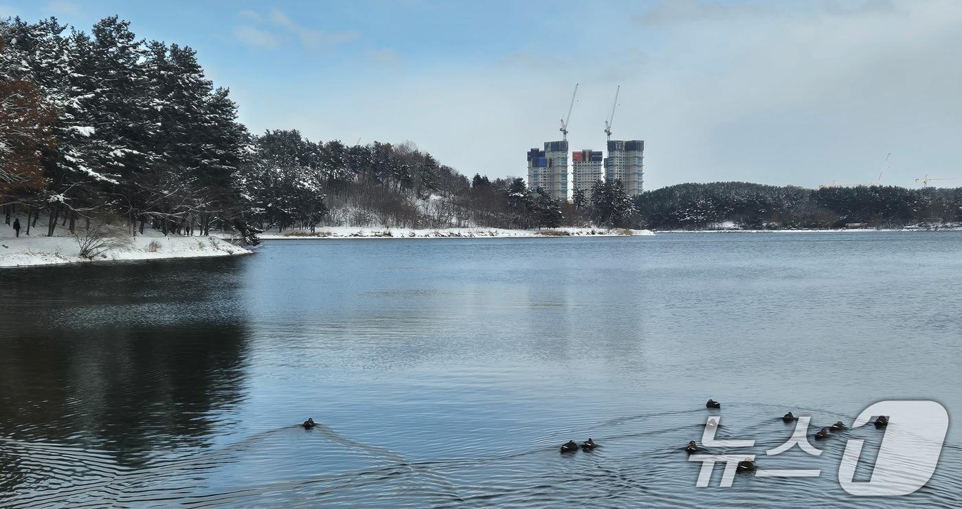 전북지역에 대설주의보가 발효된 9일 전북자치도 군산시 은파호수공원에 눈이 쌓여 있다. 2025.1.9/뉴스1 ⓒ News1 강교현 기자