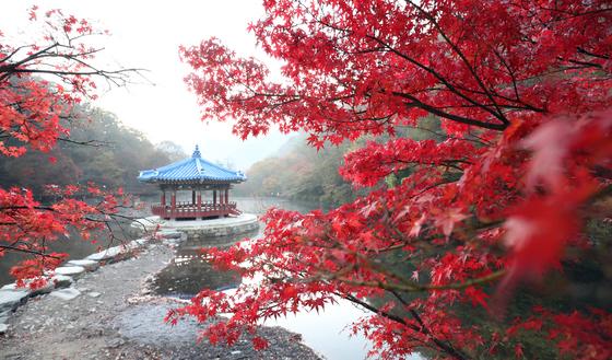 '정읍의 자연과 역사'…SRT매거진 '2025년 가볼 만한 도시' 선정