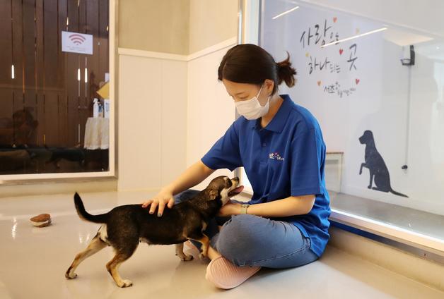 "추석 연휴, 댕댕이 걱정말고 맡기세요" 반려견 돌봄쉼터