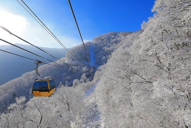 폭설 덕에 벌써 겨울왕국…눈꽃 산행지 어딨나