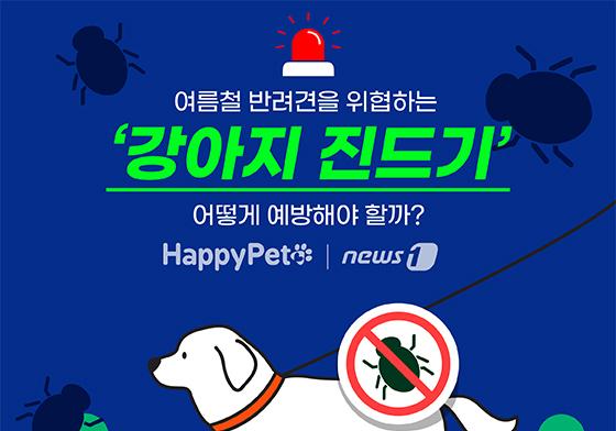 여름철 반려동물 위협하는 진드기…예방 어떻게[펫카드]