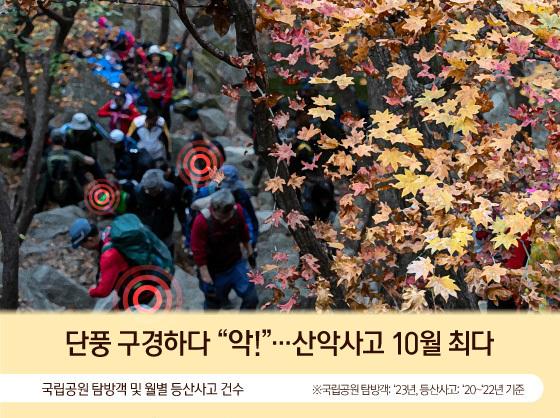 단풍 구경하다 "악!"…산악사고 10월 최다