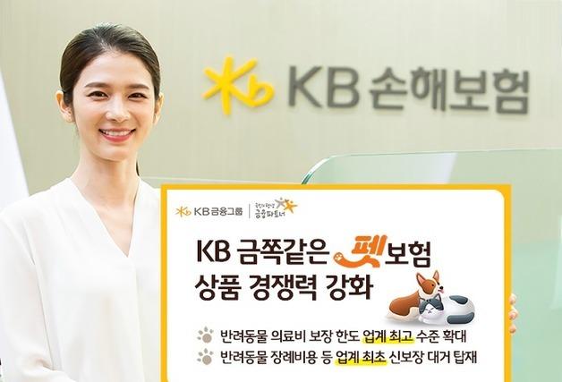 KB손보, 업계 최초 반려동물 장례비 지원 'KB금쪽같은펫보험' 출시