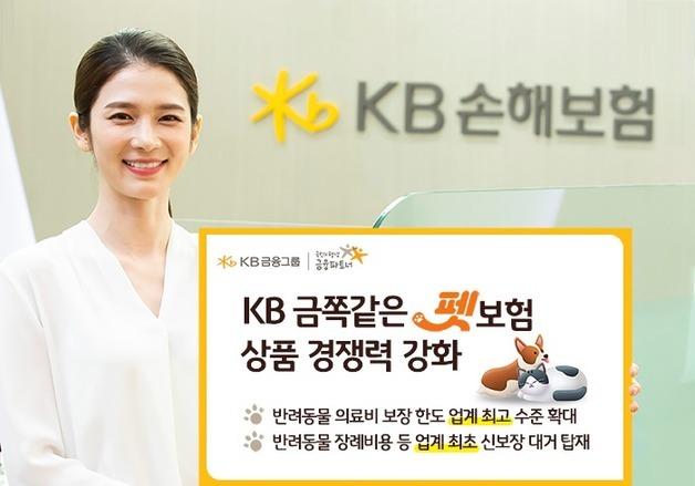 KB손보, 업계 최초 반려동물 장례비 지원 'KB금쪽같은펫보험' 출시