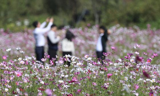 [오늘의 날씨] 부산·경남(4일, 금)…아침 10도 이하 '쌀쌀', 일교차 커