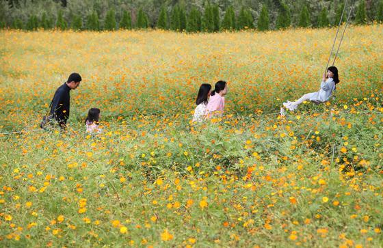 [오늘의 날씨] 대구·경북(25일,금)…낮에 포근, 최고 21~24도