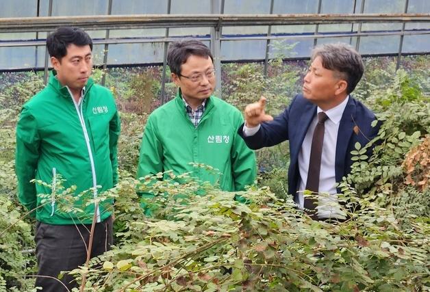 산림청, 감초 고부가가치화·6차 산업화 성과 점검 