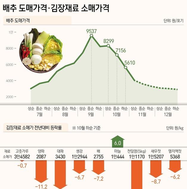 [그래픽] 배추 도매가격·김장재료 소매가격