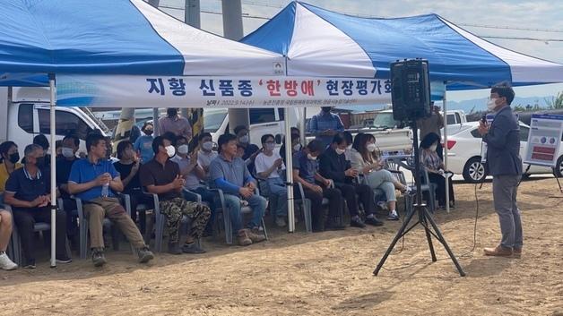 '정읍 지황' 약용작물연구회, 농촌진흥청 '우수 생산단지' 선정