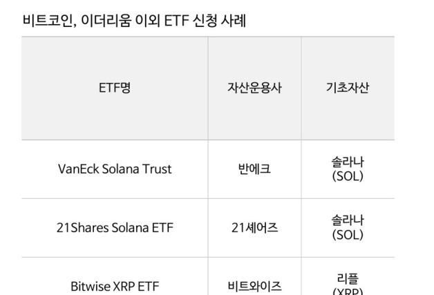 NH투자證 "리플·솔라나 현물 ETF, 美 대선 전 승인 어렵다"